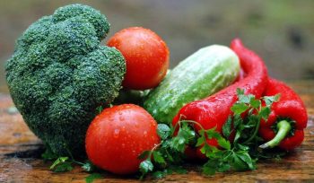 Control de plagas Asturias