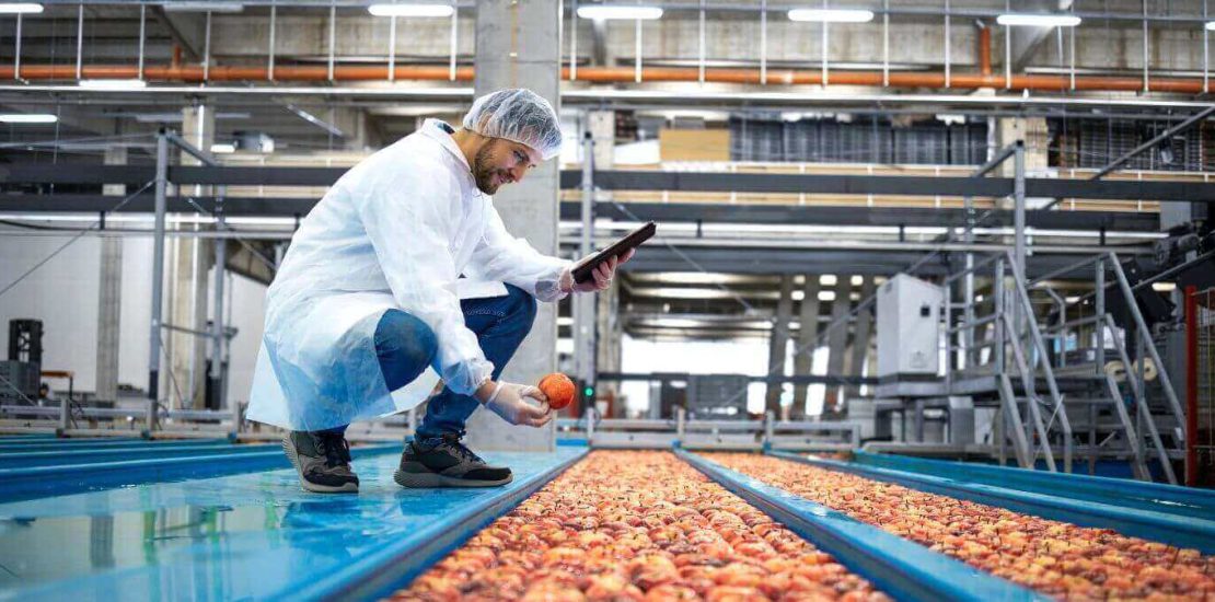 ¿Cómo Afectan las Plagas a la Industria Alimentaria?