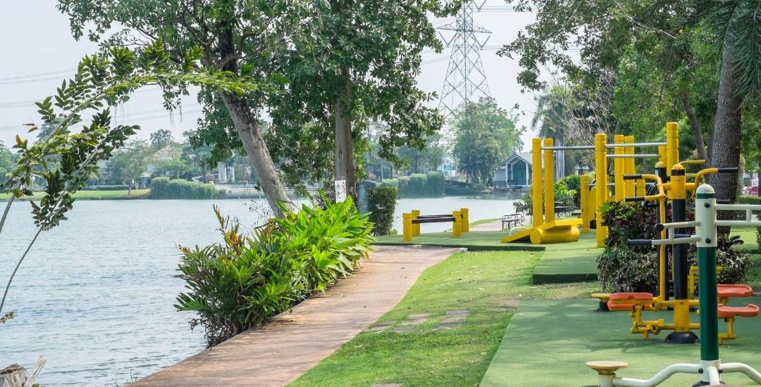 Cómo manejar brotes de plagas en espacios públicos