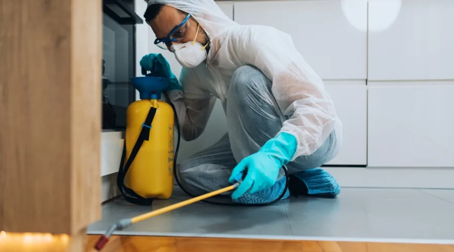 Educación comunitaria sobre la prevención de plagas