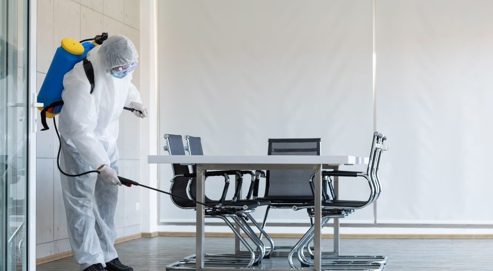 El Impacto de las Plagas en la Salud Pública y Cómo Combatirlas