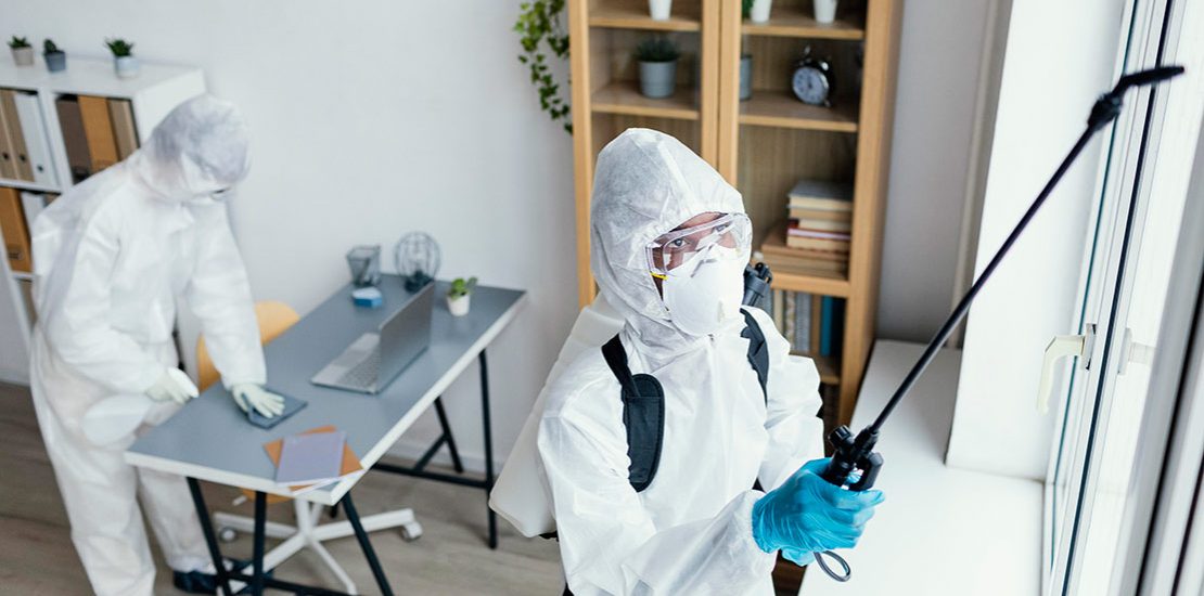 Prevenir Plagas Comunes en Viviendas Durante el Invierno