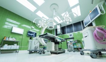 La gestión integral de plagas en instalaciones sanitarias: pasos cruciales