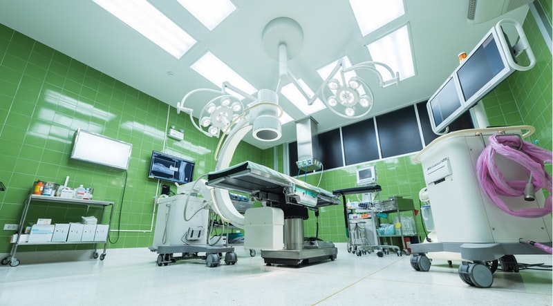 La gestión integral de plagas en instalaciones sanitarias: pasos cruciales