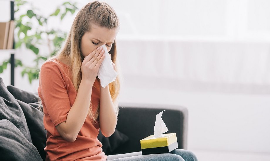 Plagas y alergias: Cómo evitar problemas de salud en casa