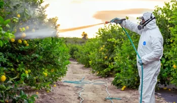 Tratamientos ecológicos para la desinfección de suelos industriales