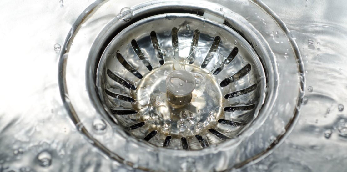 Cómo identificar plagas en el sistema de drenaje