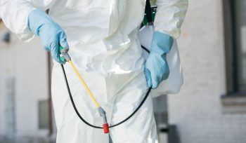Cómo elegir un servicio profesional de control de plagas
